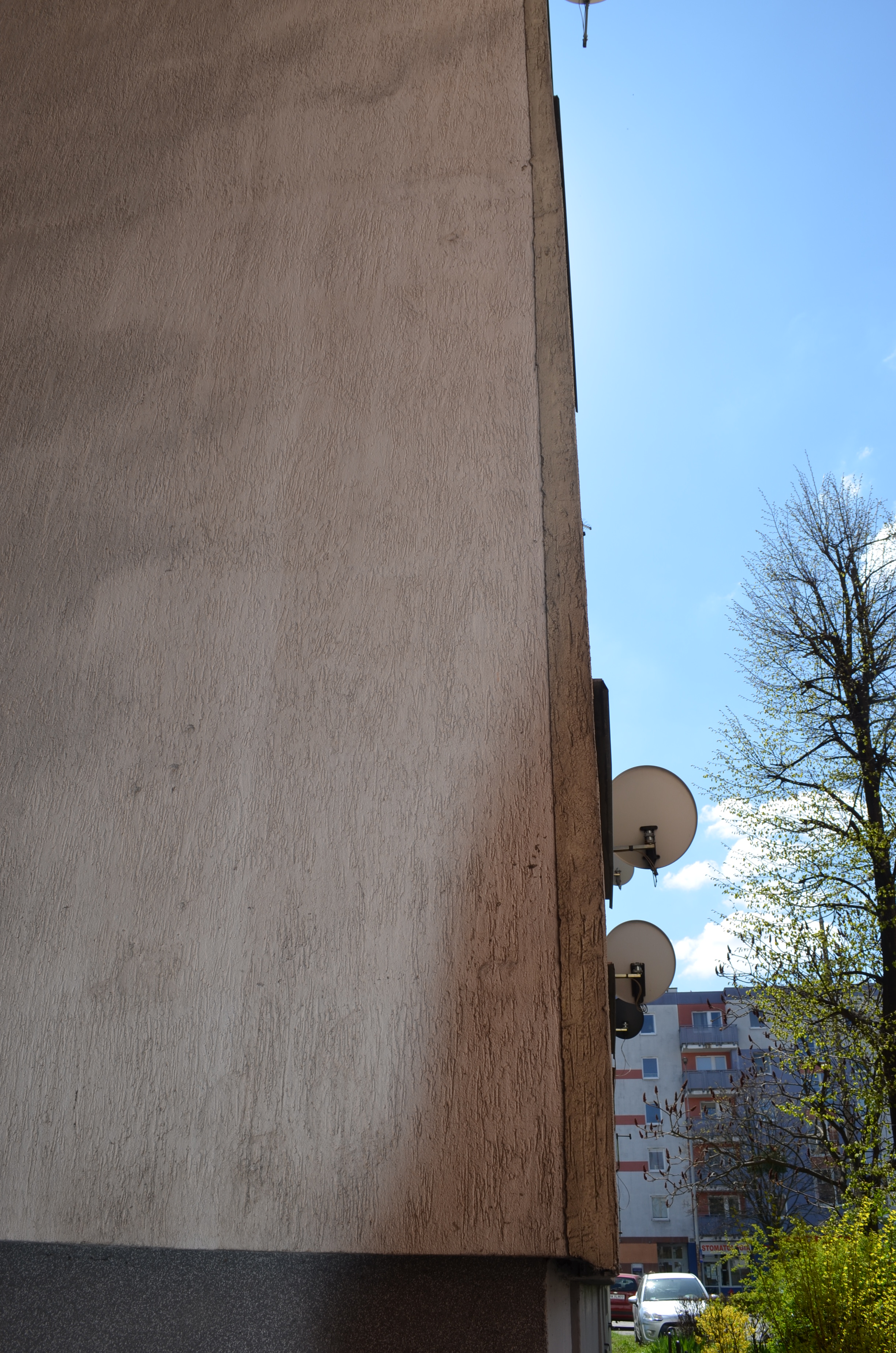 PR202401 DSC_2691